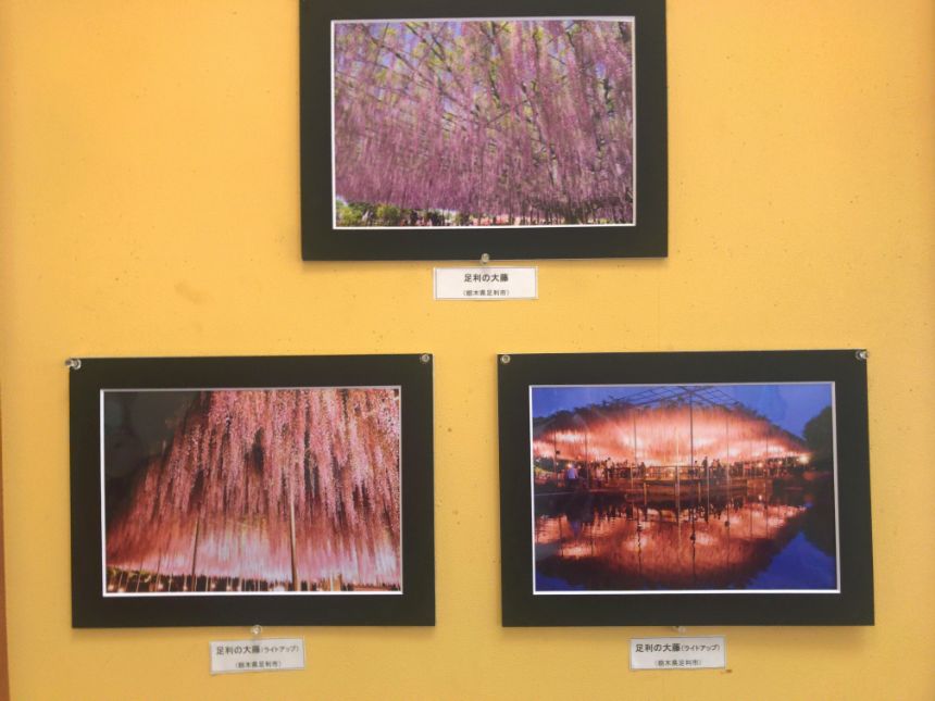 壁に飾られた写真作品
