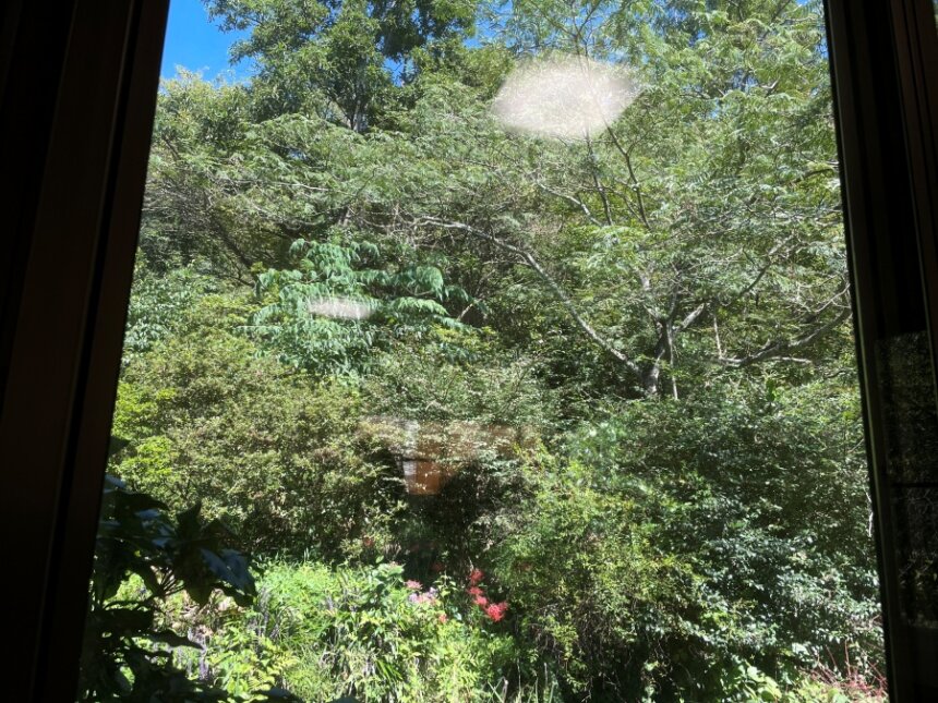窓から見える外の風景