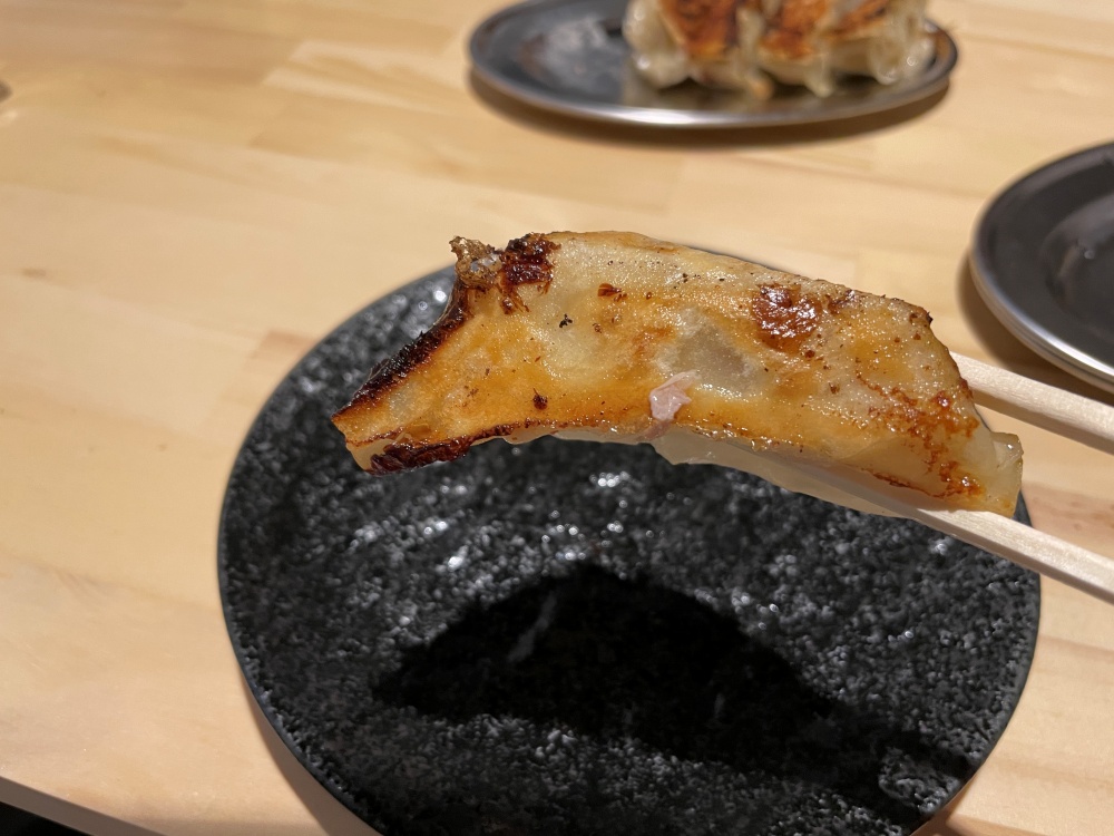 パリッともちっとした餃子