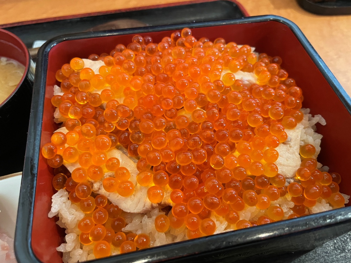 和食 魚靖