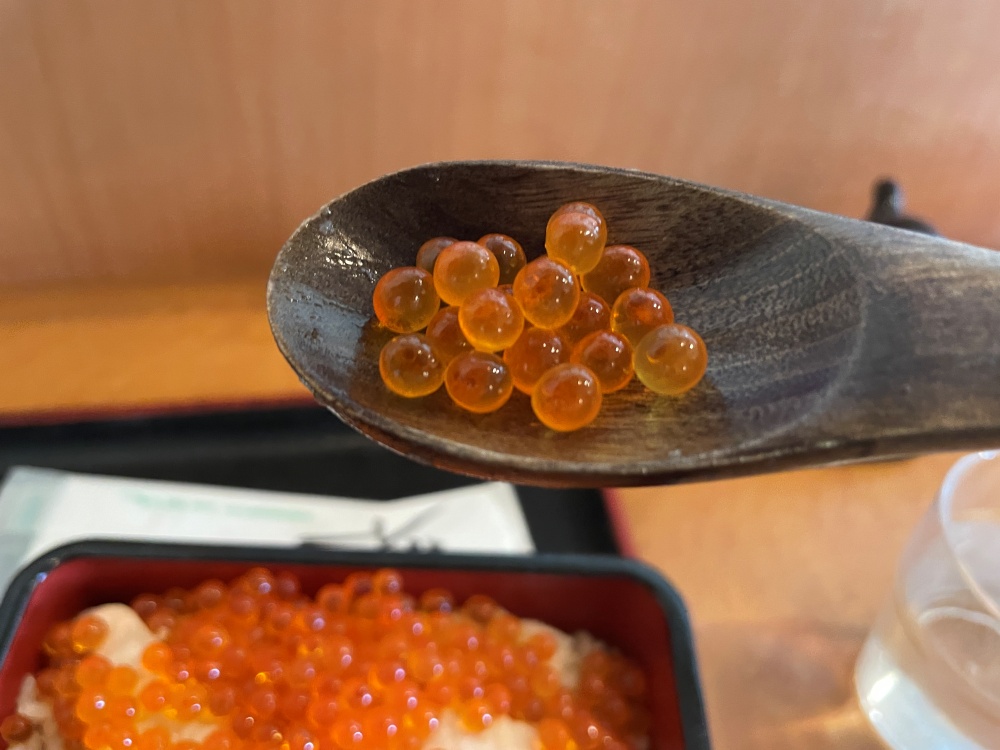 プチプチのイクラ