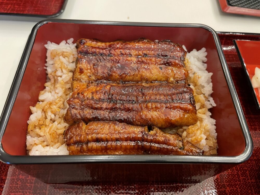 ふっくらと焼かれた鰻