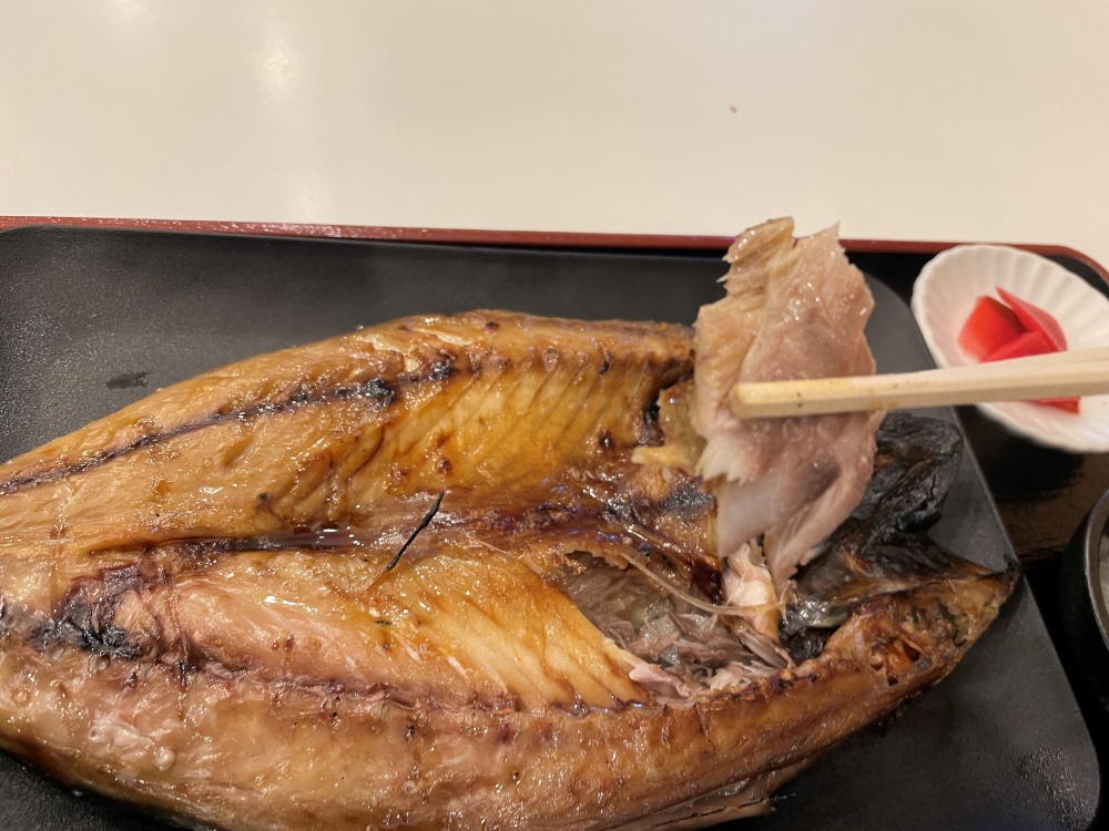 脂の乗った金華さば