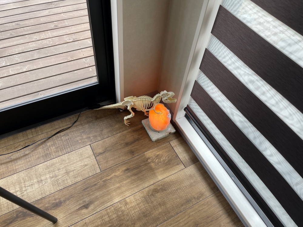 恐竜と卵のオブジェ