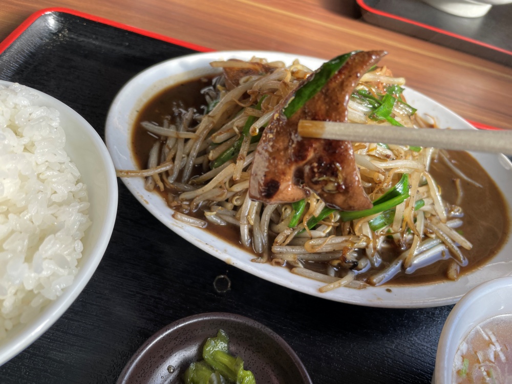 フレッシュなレバー