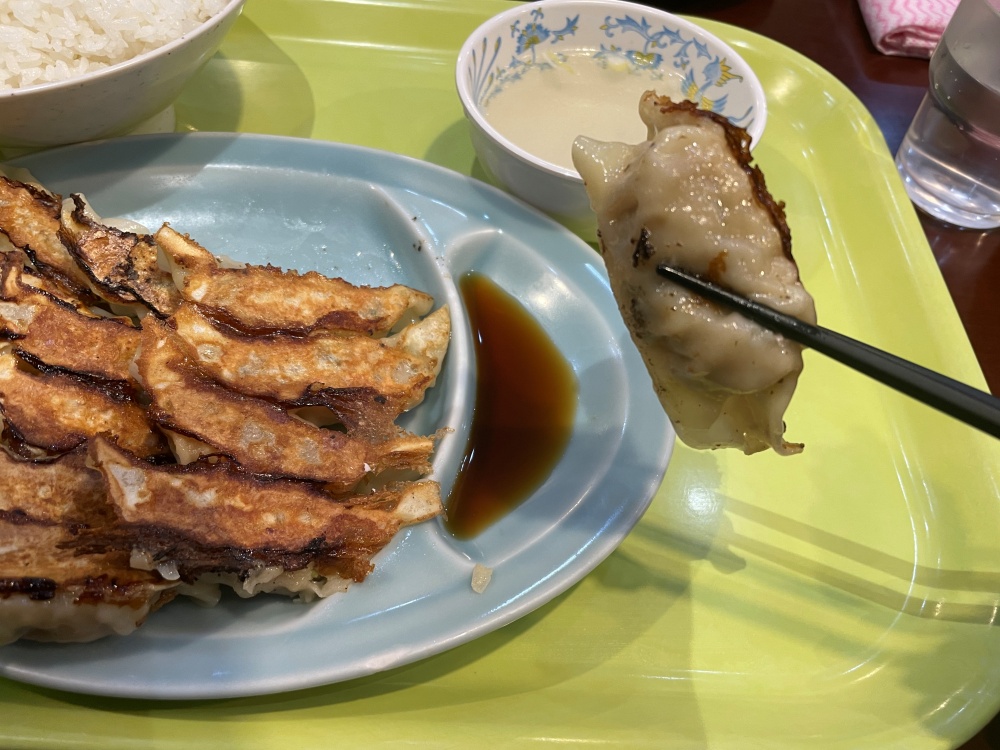 パリッともちっとした餃子