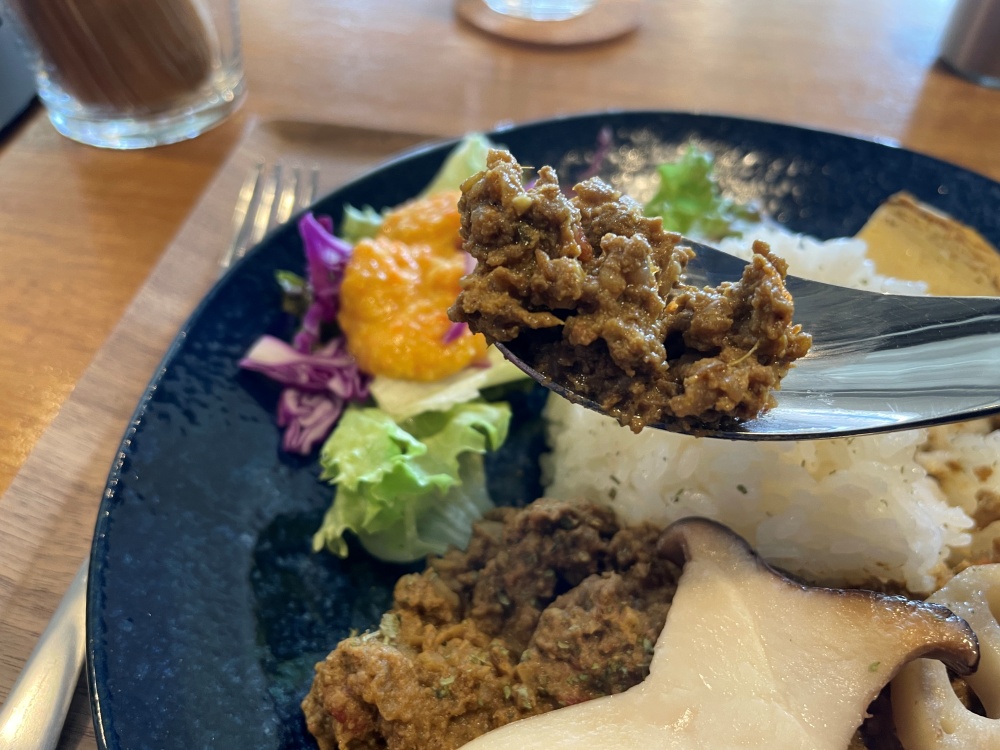 猪肉と鹿肉のカレー