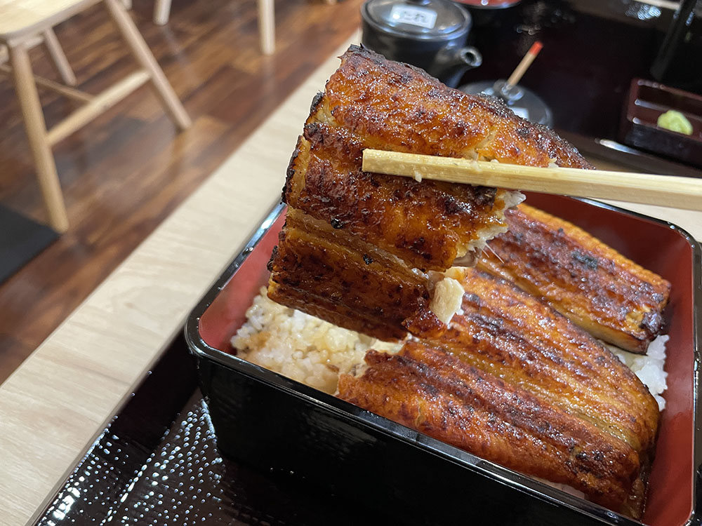 ふっくらとした鰻