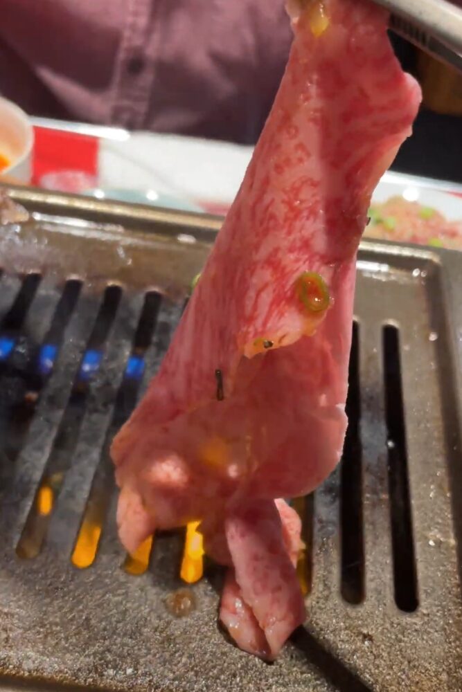 大判のロース肉