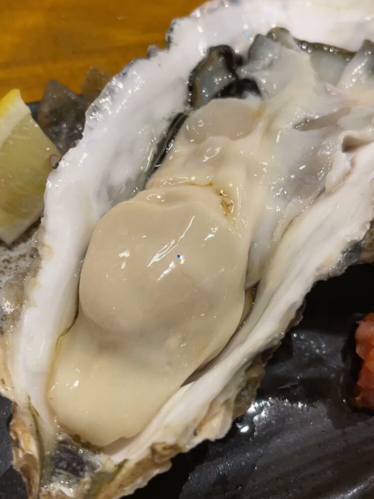 生カキ
