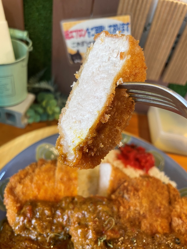分厚いとんかつ