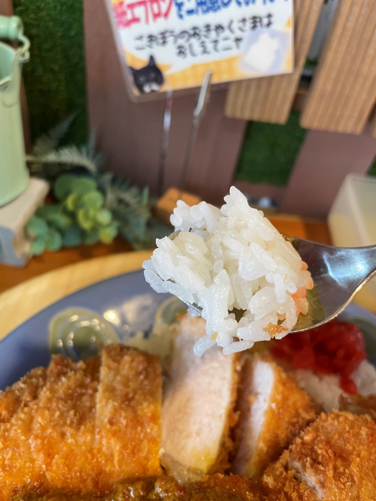 ライスは日本米