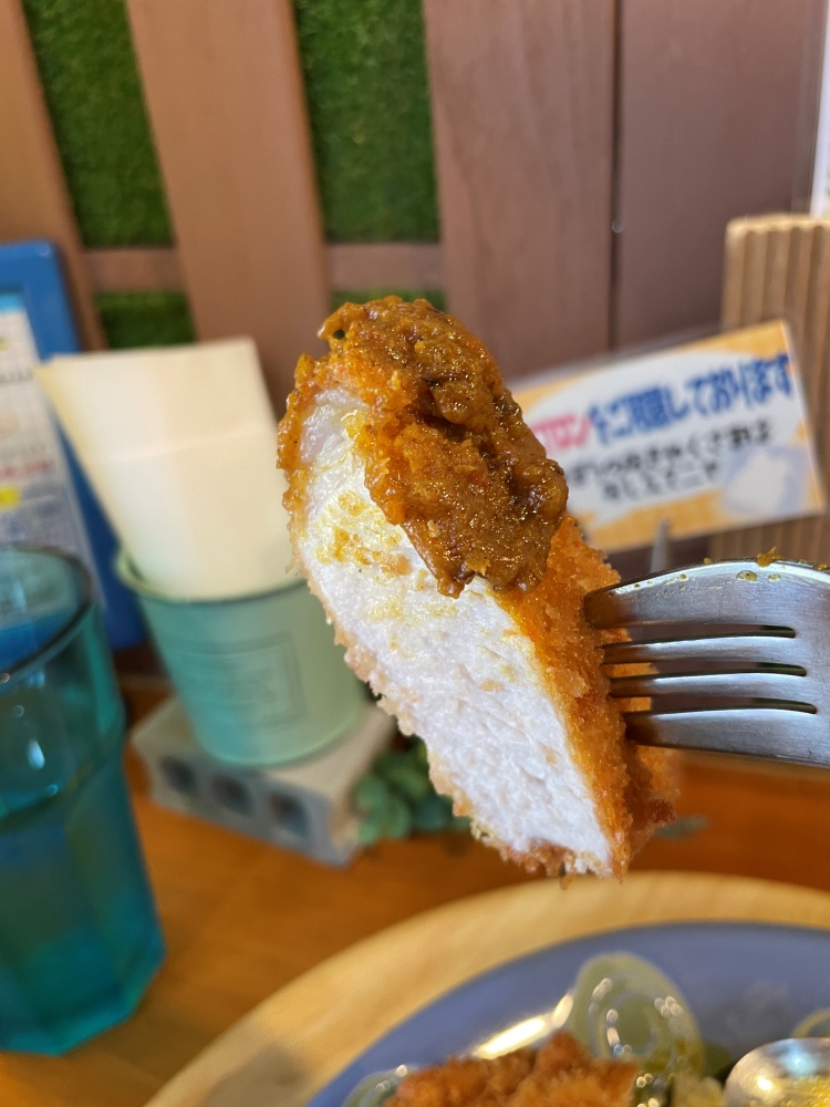 カレーをつけたトンカツ