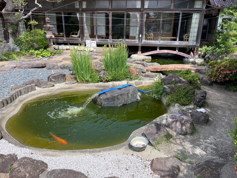 中庭のため池