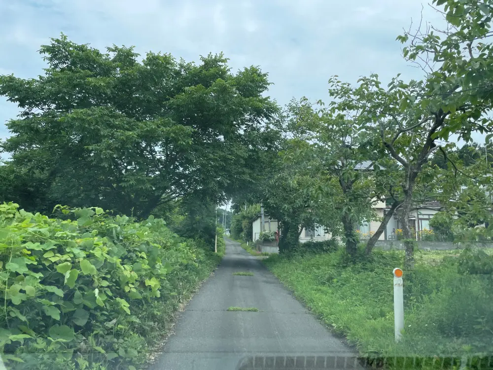 店舗へ続く山道