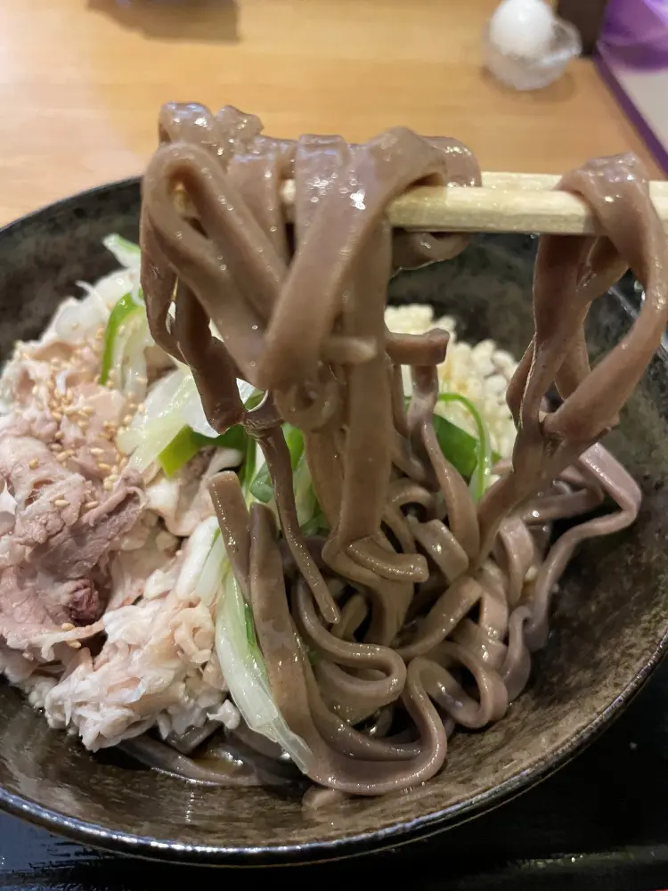 ごんぶとの麺