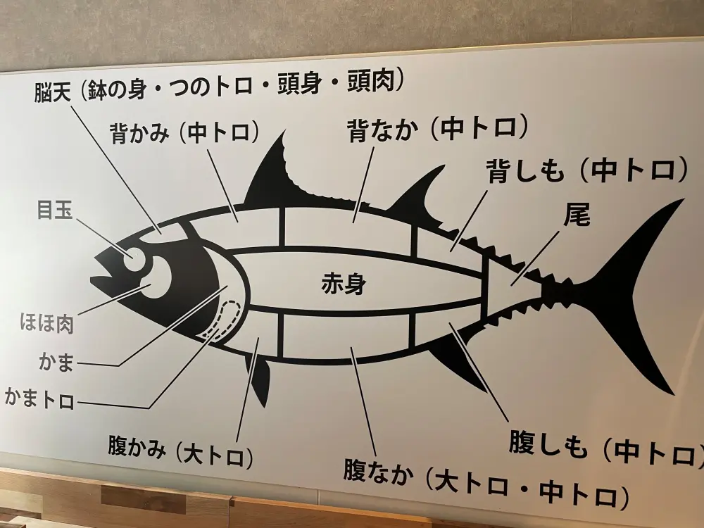 マグロの部位図解