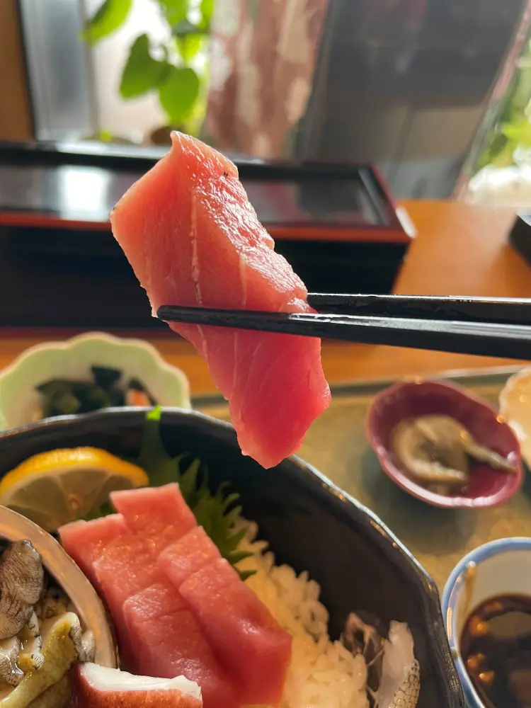 マグロの刺し身