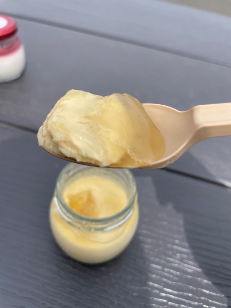 濃厚なはちみつプリン