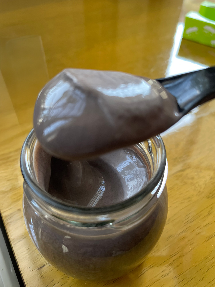 濃厚なココアプリン