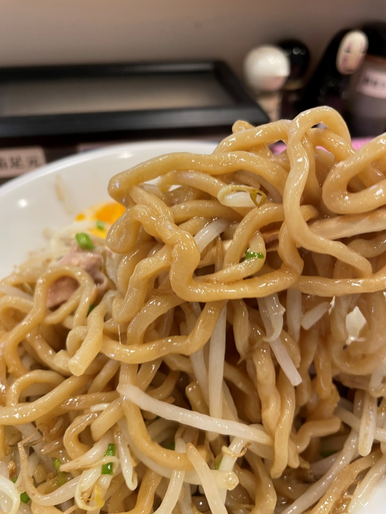 わしわしの極太麺