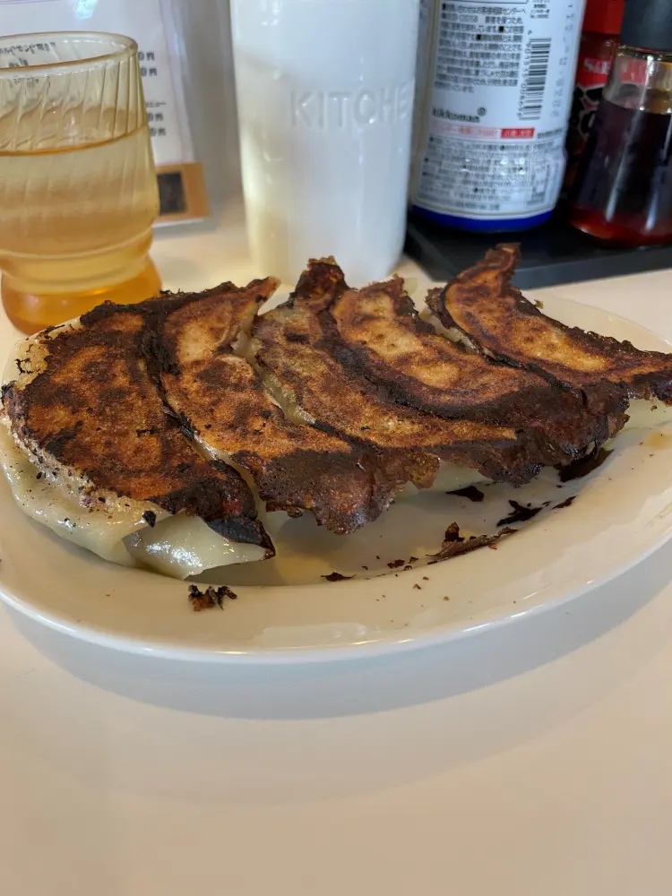 漢方豚の大ぶり餃子