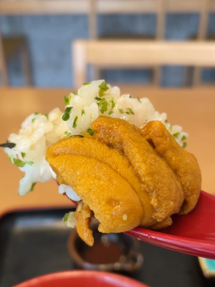 ぷっくらしたウニ