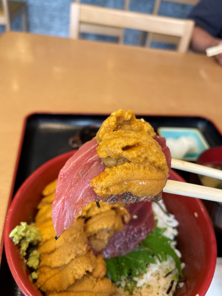 ウニとマグロ