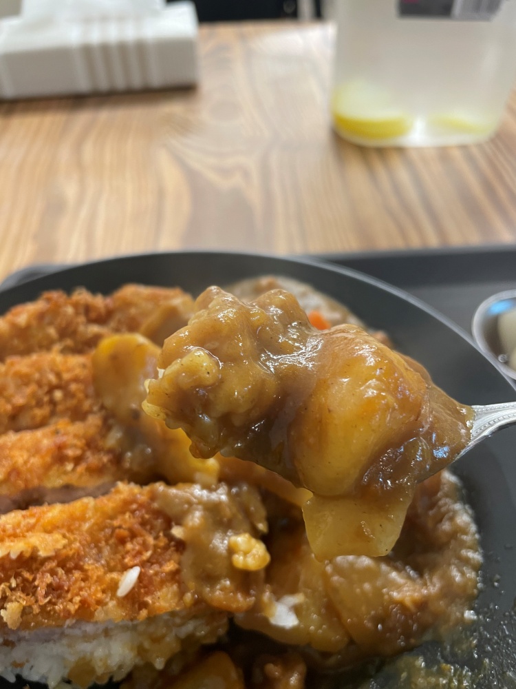 昔ながらのカレー