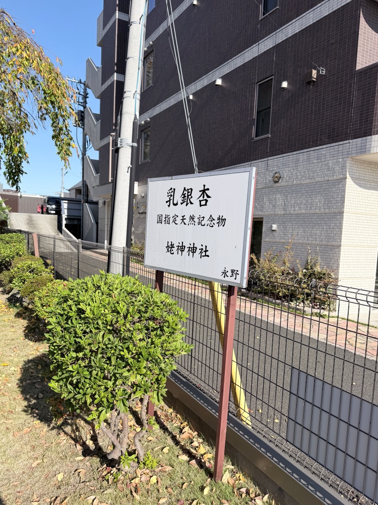 乳銀杏の看板
