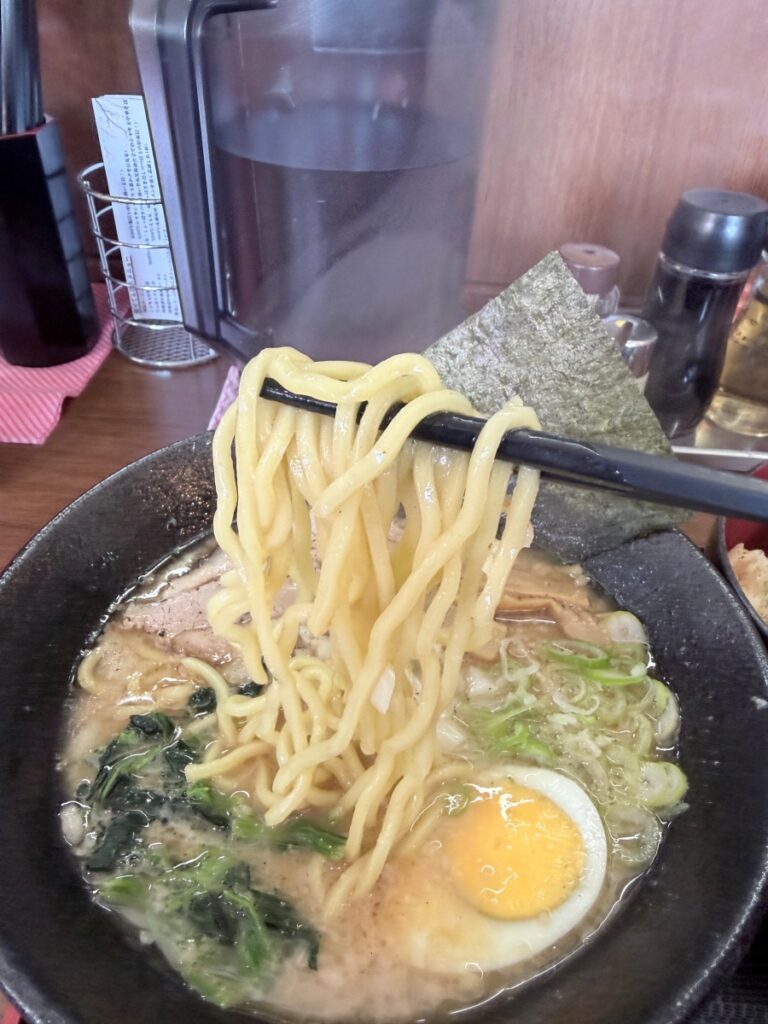 むちむちの太麺