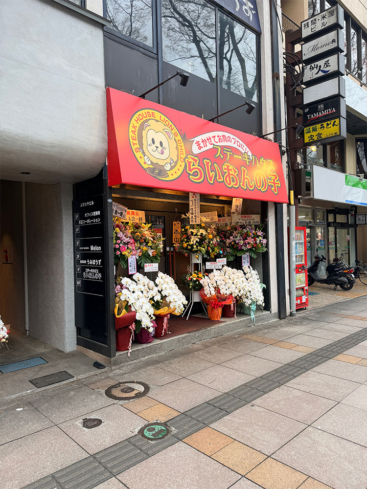 らいおんの子の外観