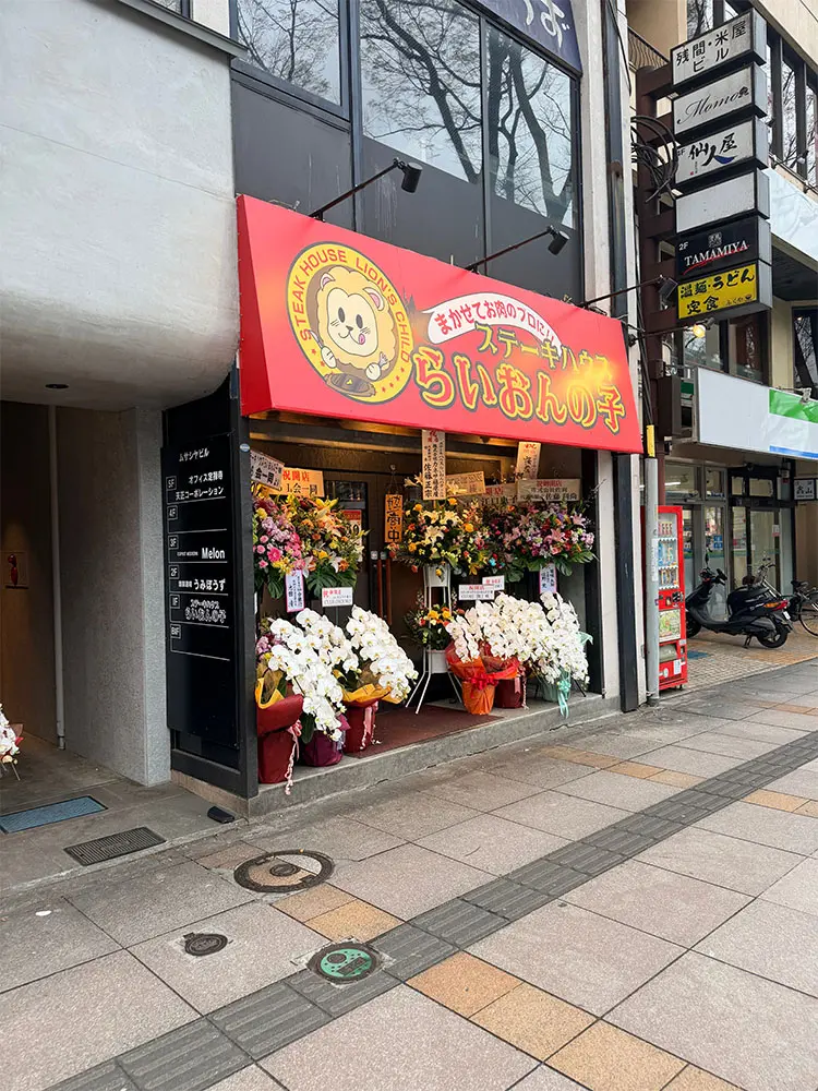 らいおんの子の外観