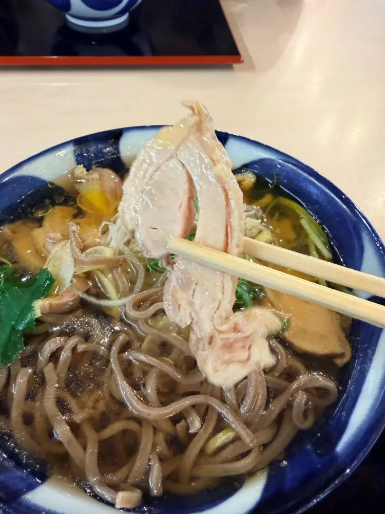 コリコリの親鳥