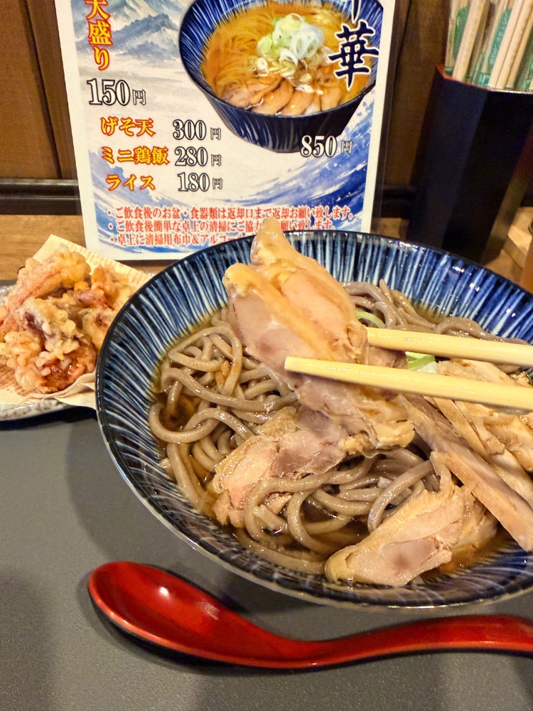 柔らかい親鳥