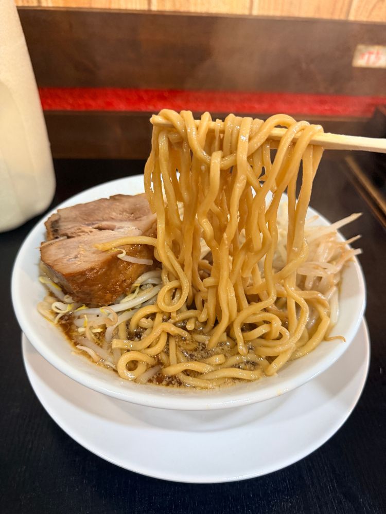 ワシワシの太麺